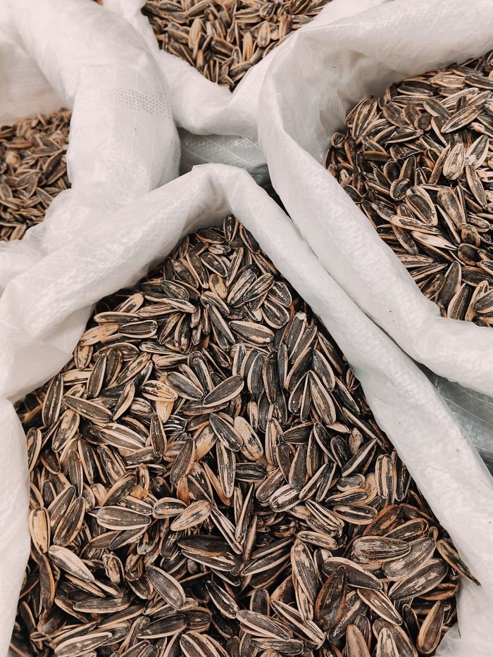 pexels photo 39087427 39087427 High-quality image of sunflower seeds packaged in large white sacks, ready for distribution.